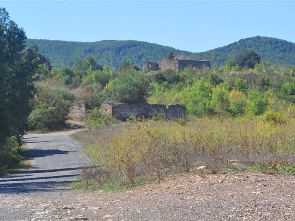 Rustico / casale a Bibbona in Faltona alta - Foto 4