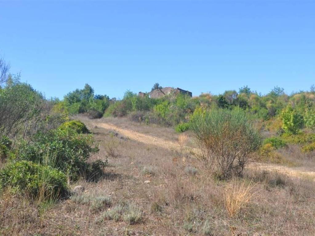Rustico / casale a Bibbona in Faltona alta - Foto 5