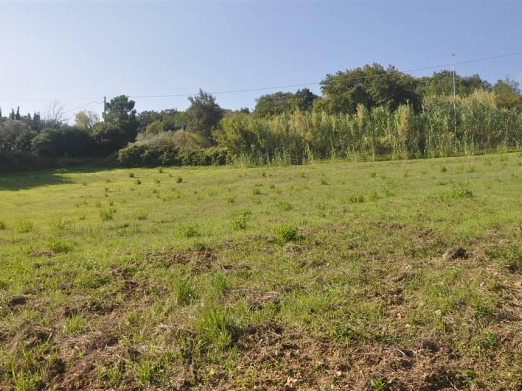 Terreno a Rosignano marittimo in Via Traversa Livornese - Foto 3
