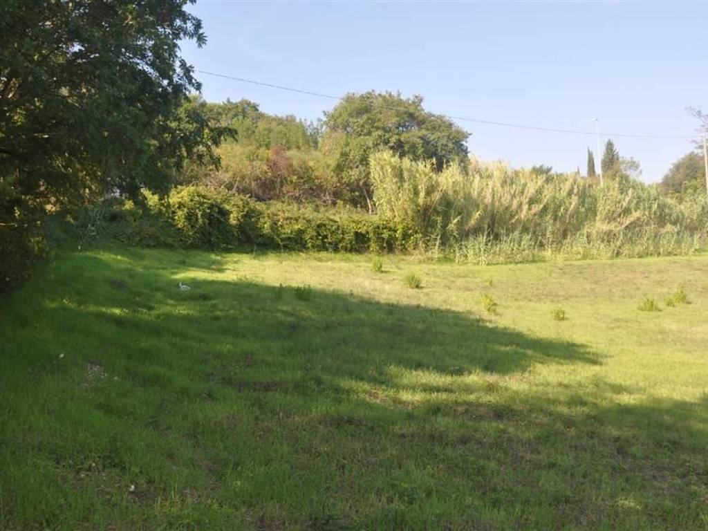 Terreno a Rosignano marittimo in Via Traversa Livornese - Foto 4