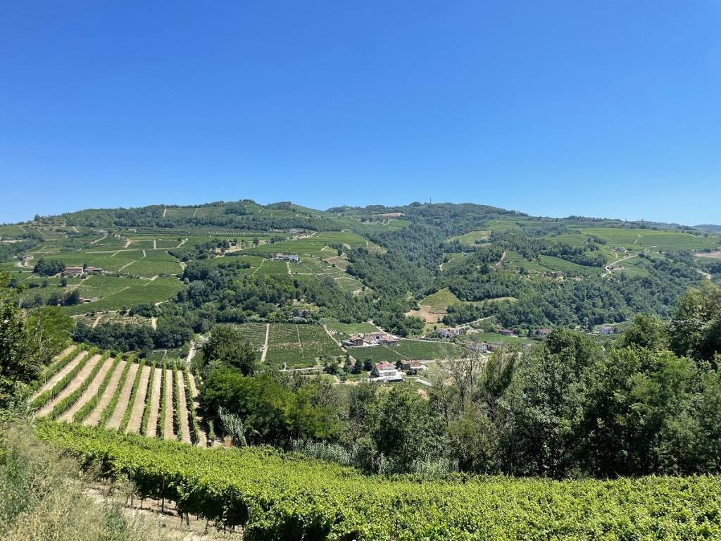 Rustico / casale a Santo stefano belbo - Foto 2