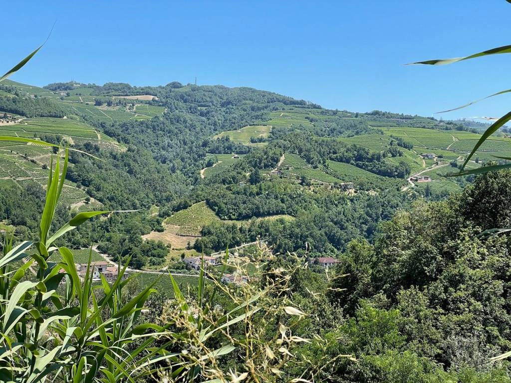 Rustico / casale a Santo stefano belbo - Foto 5