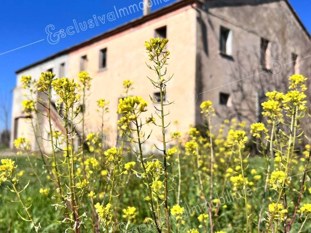 Rustico / casale a Castelfidardo in Contrada Laghi, 16 - Foto 4