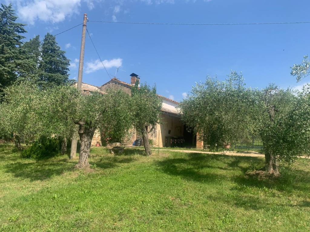 Rustico / casale a Amelia in Via Rimembranze - Foto 3