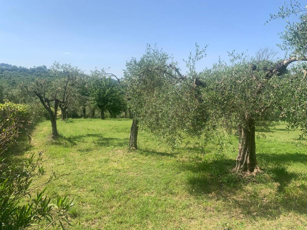 Rustico / casale a Amelia in Via Rimembranze - Foto 4