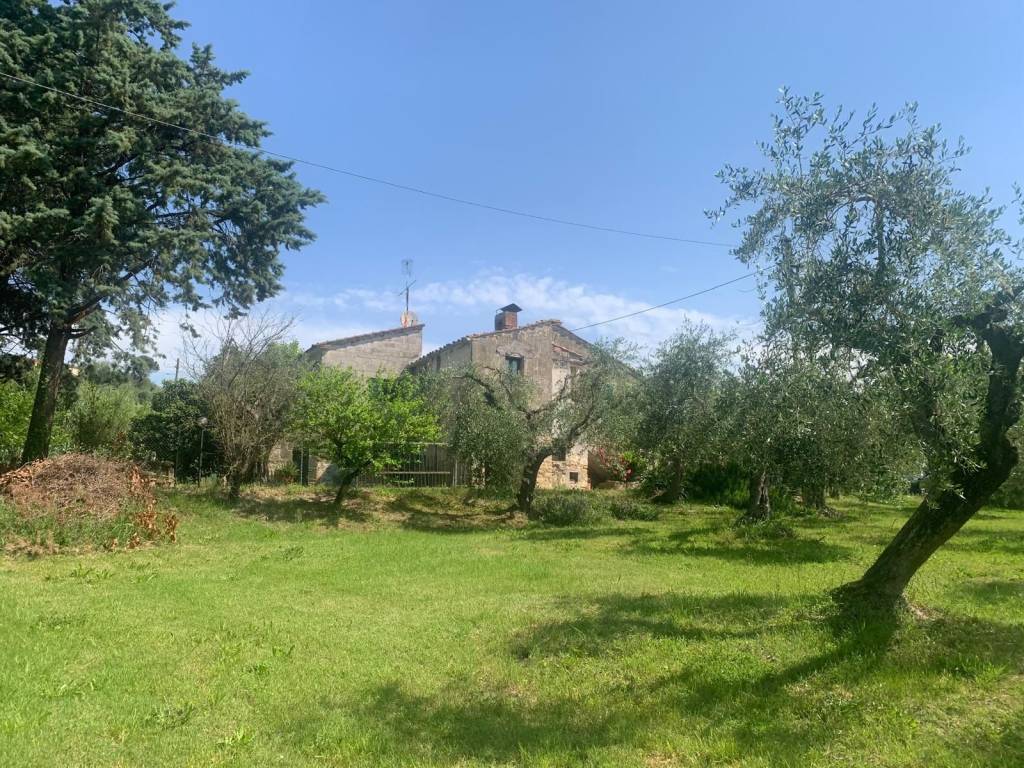 Rustico / casale a Amelia in Via Rimembranze - Foto 5