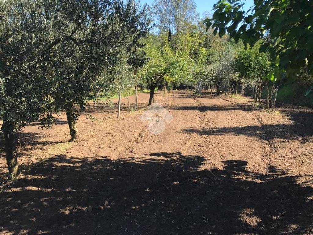 Casa indipendente a Sant'agata de' goti in Contrada Restinola, 2 - Foto 4