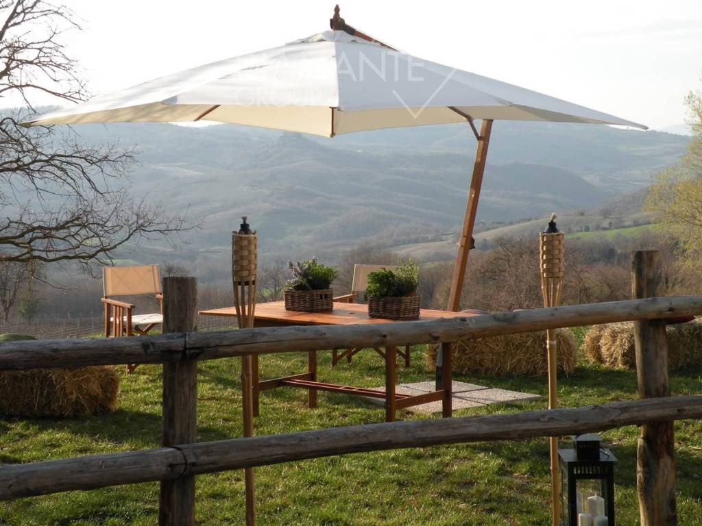 Rustico / casale a Scansano - Foto 3