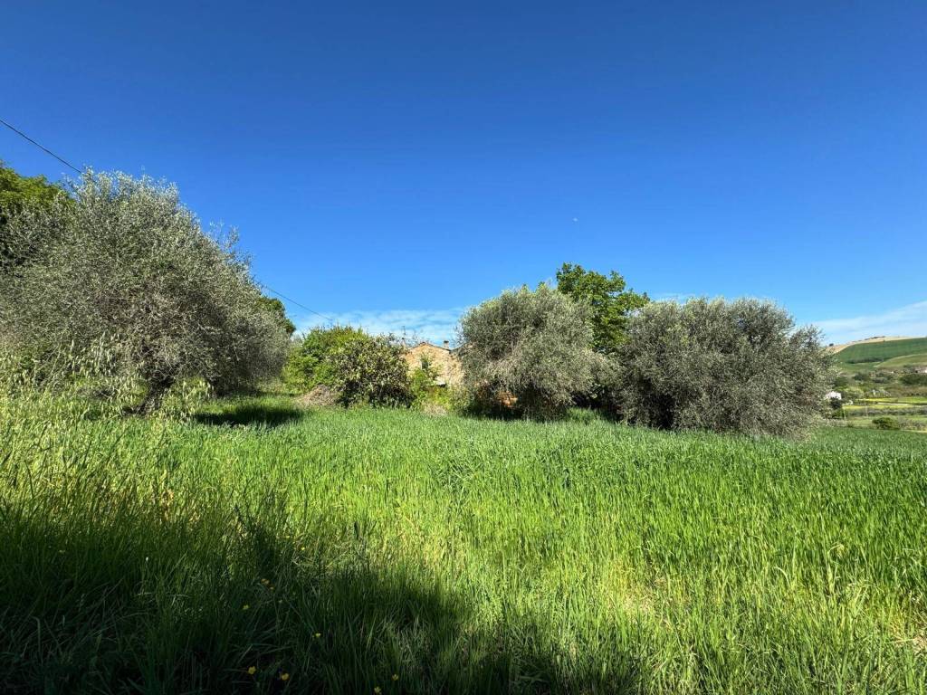 Terreno a Fermo in Contrada Ete Vivo - Foto 4