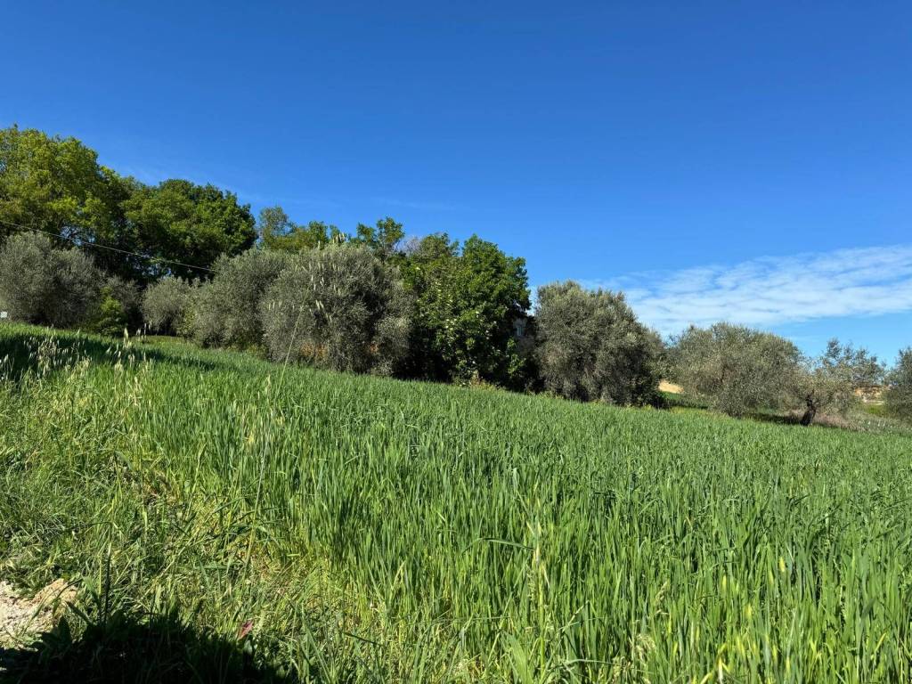 Terreno a Fermo in Contrada Ete Vivo - Foto 5