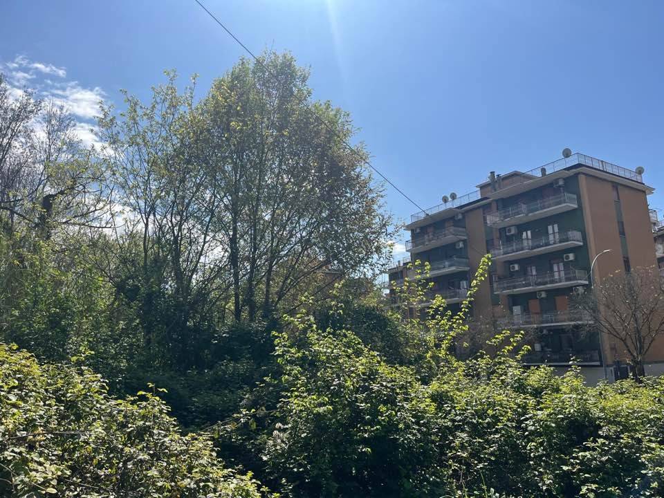 Appartamento a Cassino in Via Andrea Mantegna - Foto 2