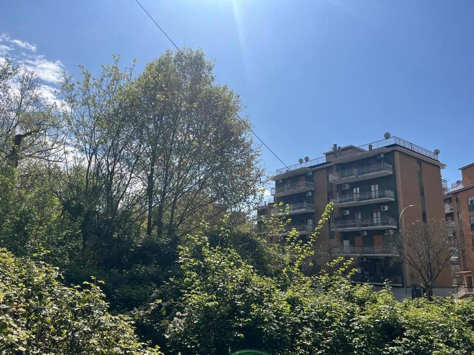 Appartamento a Cassino in Via Andrea Mantegna - Foto 5