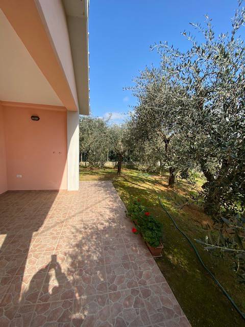 Villa a Capalbio - Foto 3