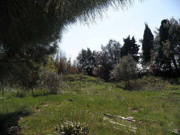 Rustico / casale a Rosignano marittimo - Foto 4