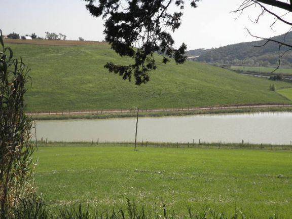 Immobile a Rosignano marittimo in Località Maccetti - Foto 2
