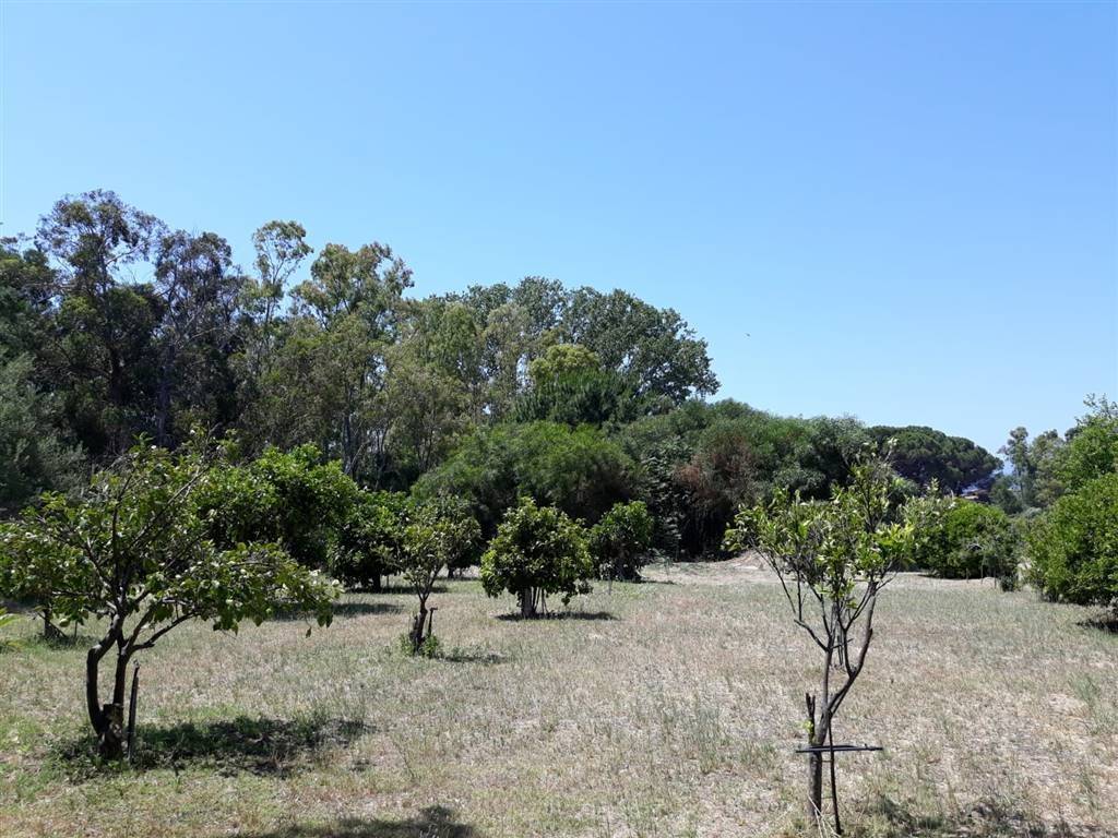 Terreno a Tortolì in Via Lungomare - Foto 2