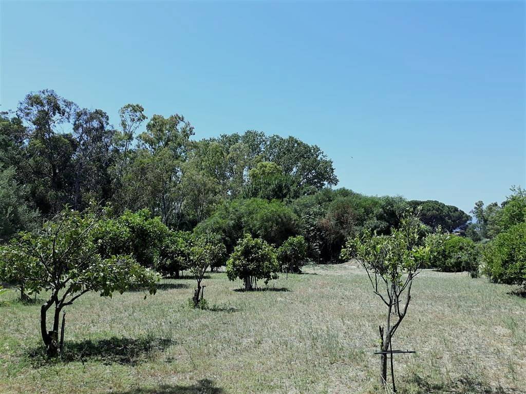 Terreno a Tortolì in Via Lungomare - Foto 2