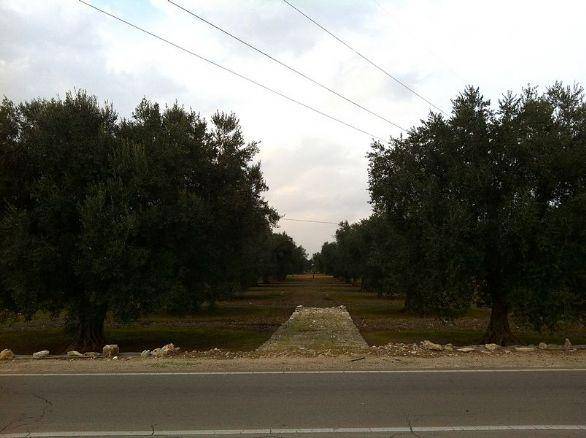 Terreno a Nardò in Via Lecce - Foto 2