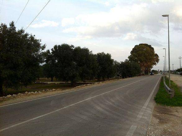 Terreno a Nardò in Via Lecce - Foto 3