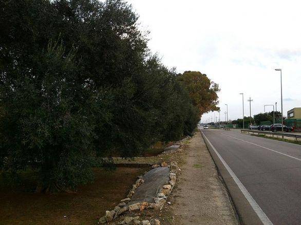 Terreno a Nardò in Via Lecce - Foto 4