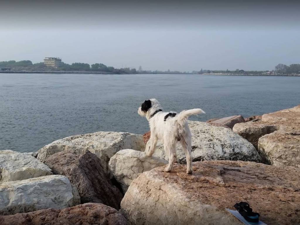 Immobile a Chioggia - Foto 2