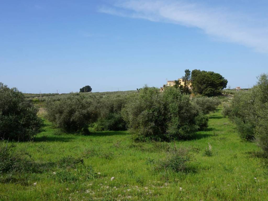 Terreno a Castelvetrano in SS 119 - Foto 4