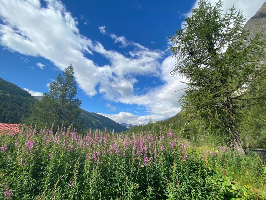 Villa a Courmayeur in val ferret - Foto 5