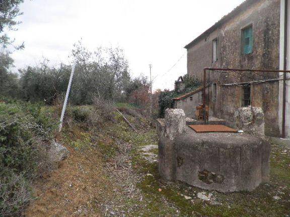 Appartamento a Rosignano marittimo - Foto 3