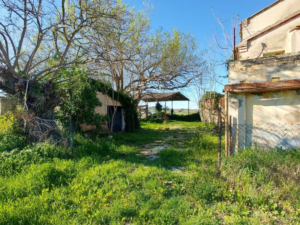 Rustico / casale a Monsano - Foto 5