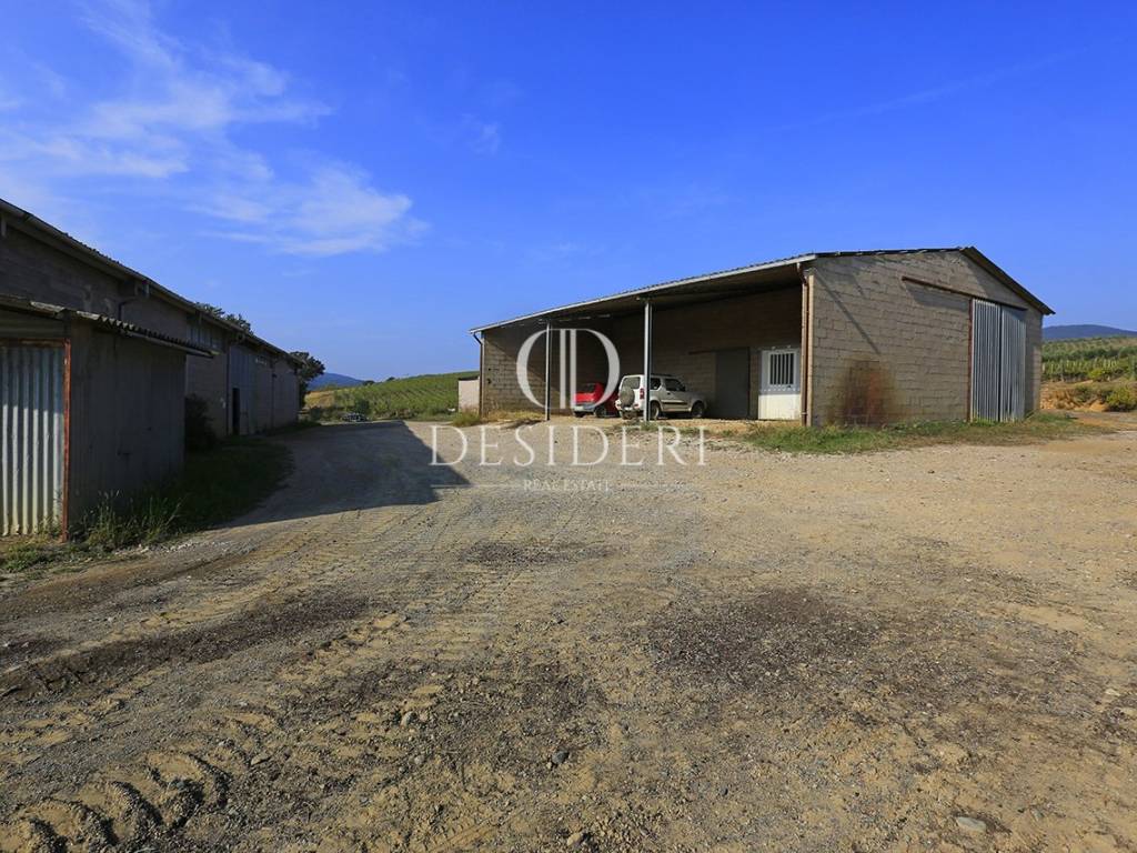 Rustico / casale a Gavorrano in Località podere Ceretelle , - Foto 2