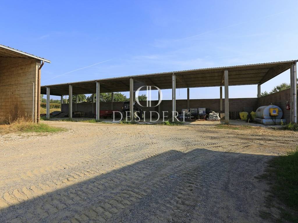 Rustico / casale a Gavorrano in Località podere Ceretelle , - Foto 3
