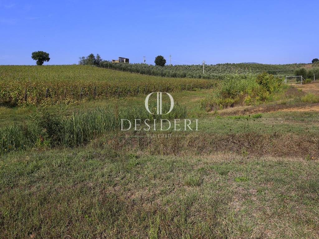 Rustico / casale a Gavorrano in Località podere Ceretelle , - Foto 5
