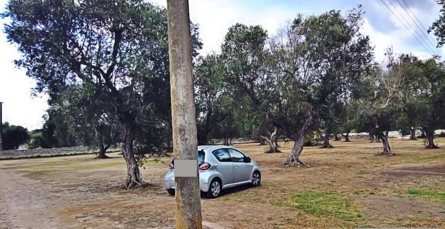 Terreno a Melendugno in Strada Provinciale 297 - Foto 4