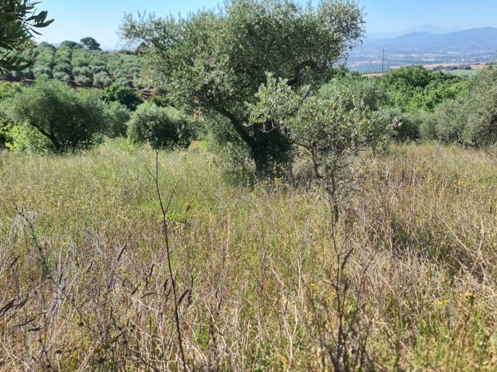 Terreno a Benevento in Contrada Mosti - Foto 2