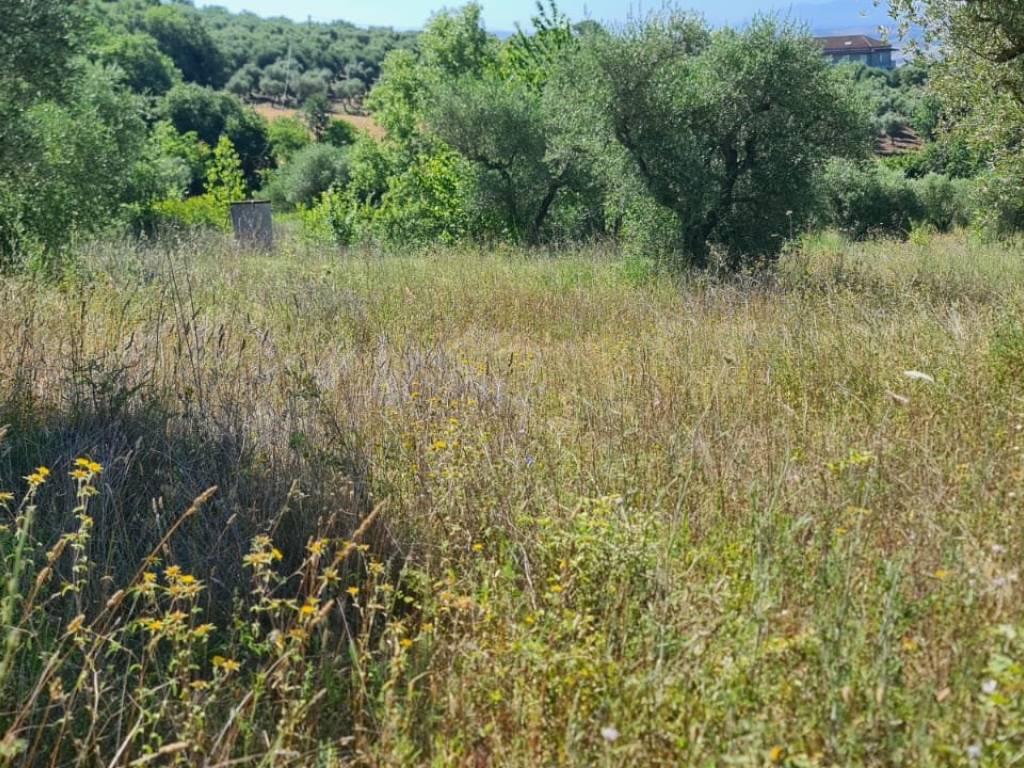Terreno a Benevento in Contrada Mosti - Foto 4
