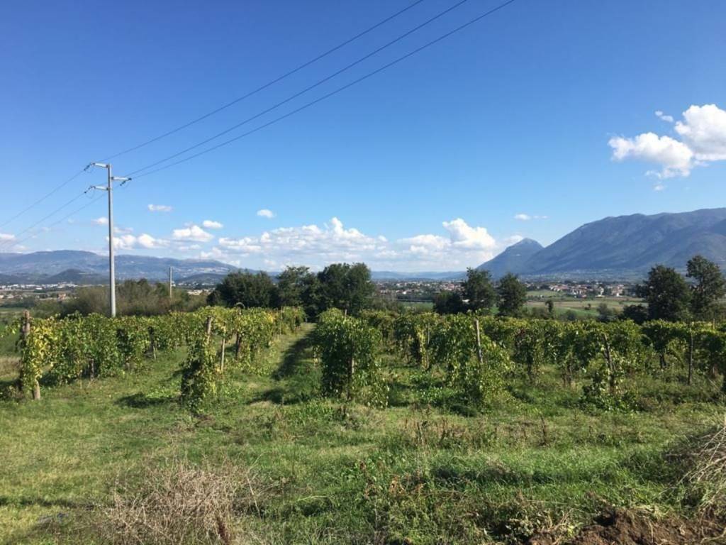 Rustico / casale a Ruviano in Alvignanello s.n.c - Foto 3