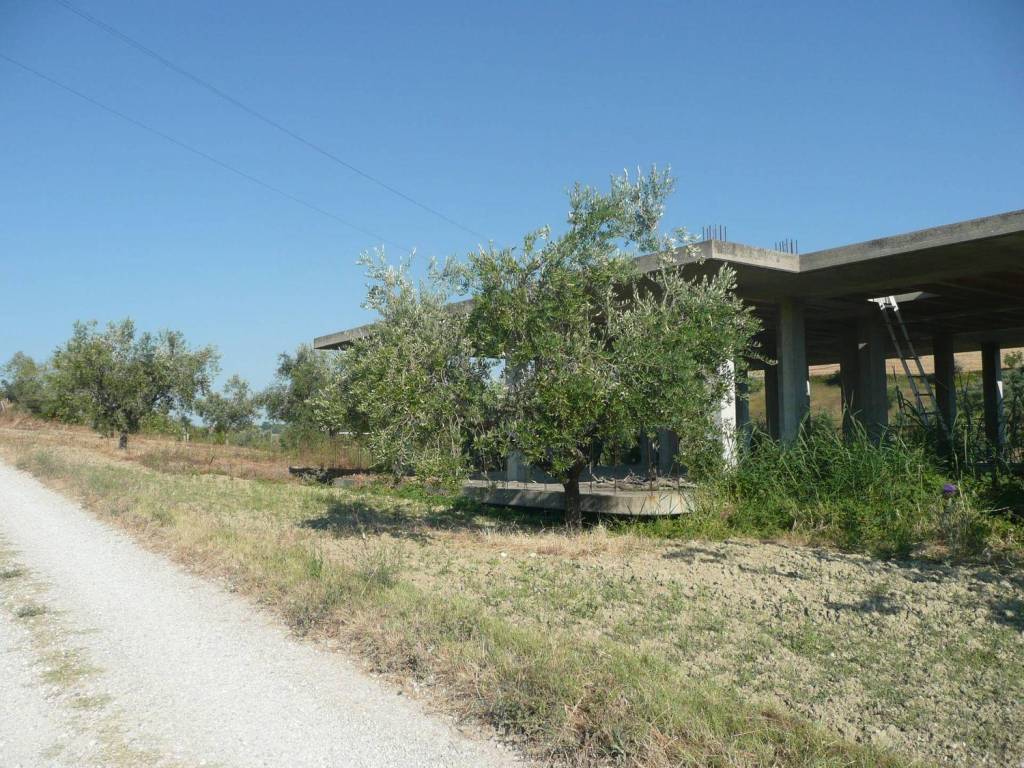 Villa a Notaresco - Foto 3