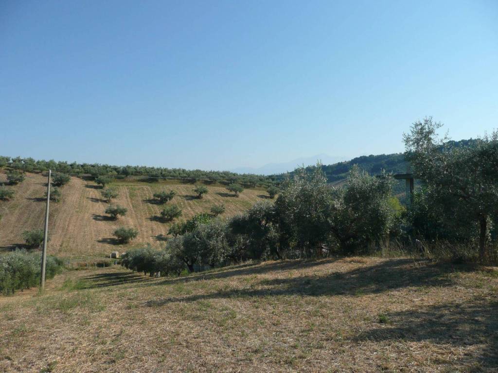 Villa a Notaresco - Foto 5