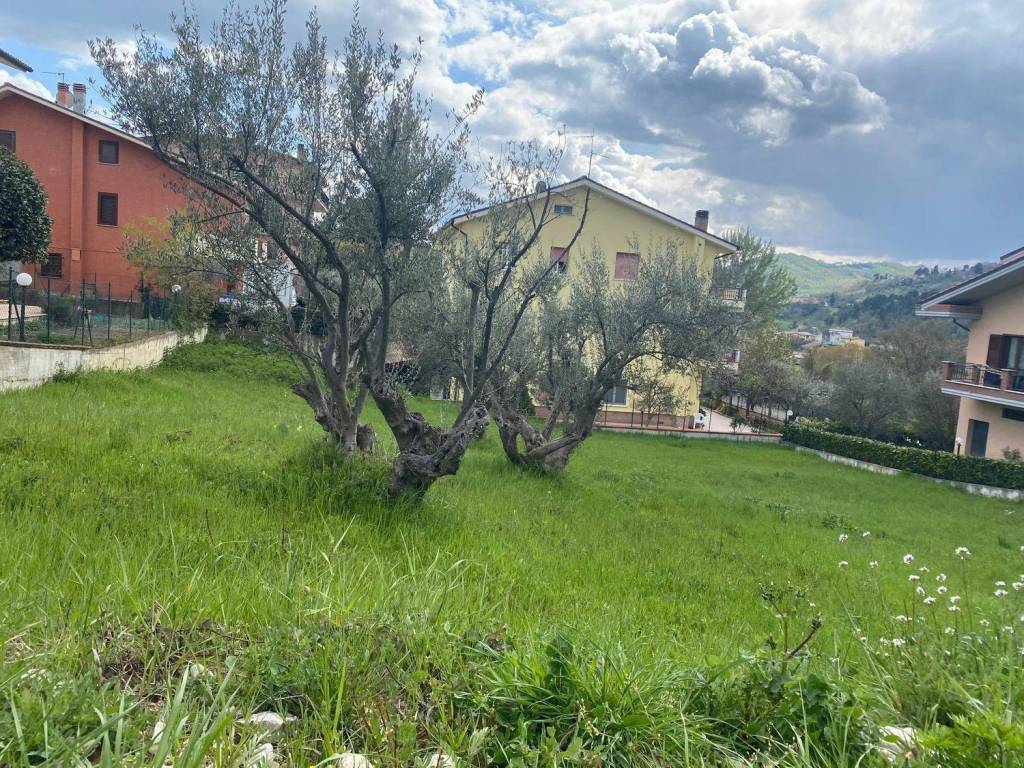Terreno a Torricella sicura in Via P. Profico - Foto 2