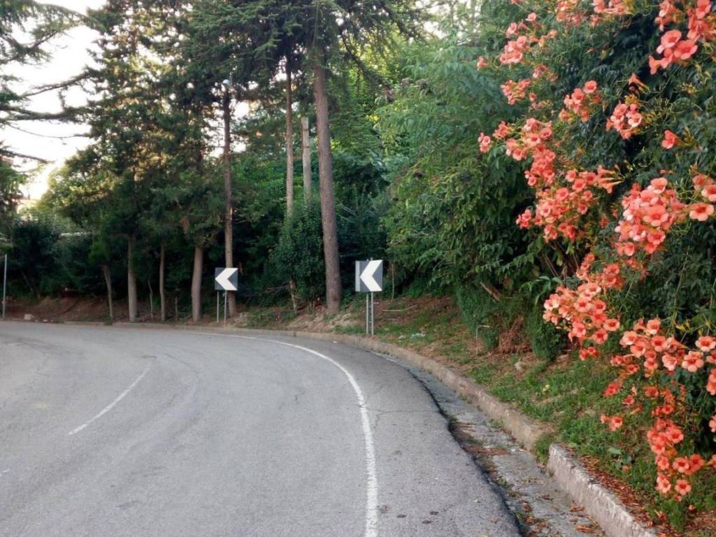 Terreno a Torricella sicura in Traversa di Via C. Forcella - Foto 3