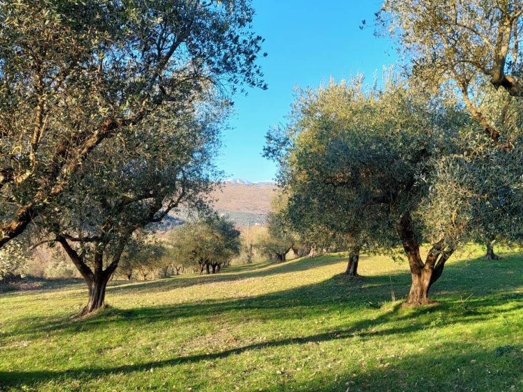 Terreno a Alatri in Via Santa Cecilia - Foto 2
