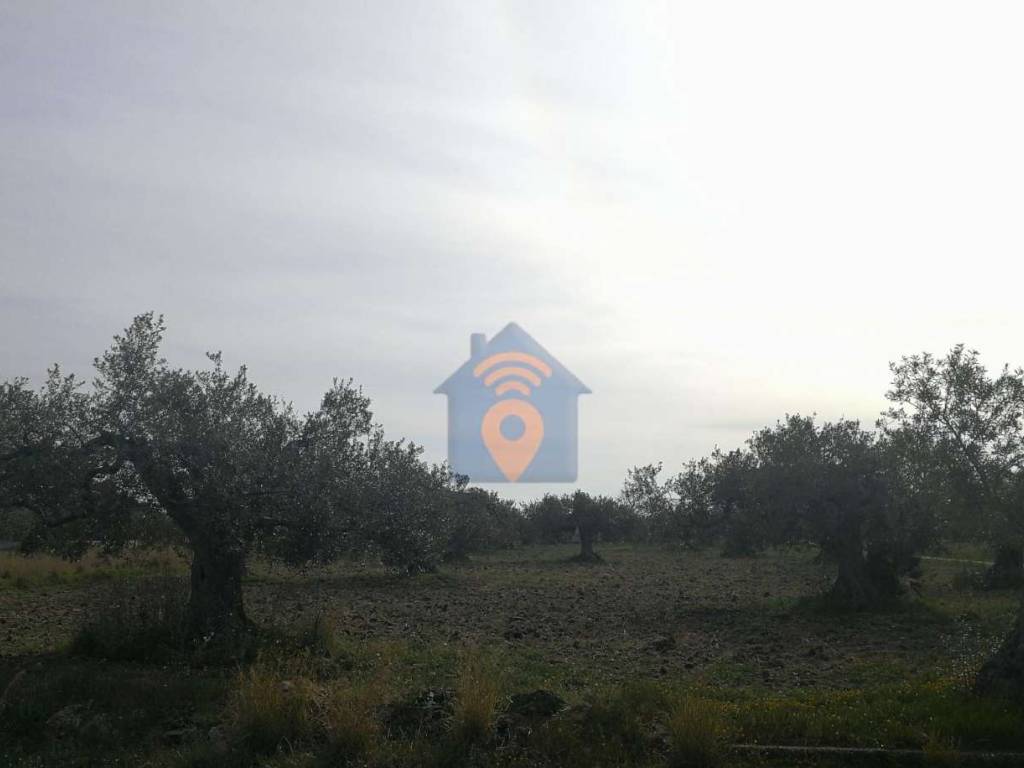 Terreno a Castelvetrano in via Cavallaro - Foto 3