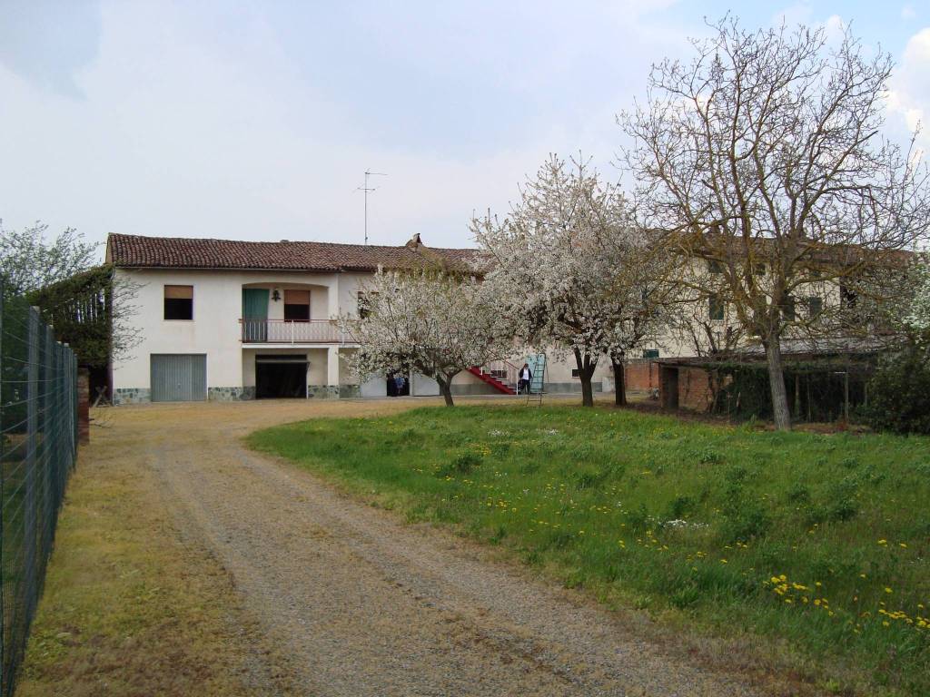 Villa a Oviglio in Strada Provinciale per Alessandria - Foto 2