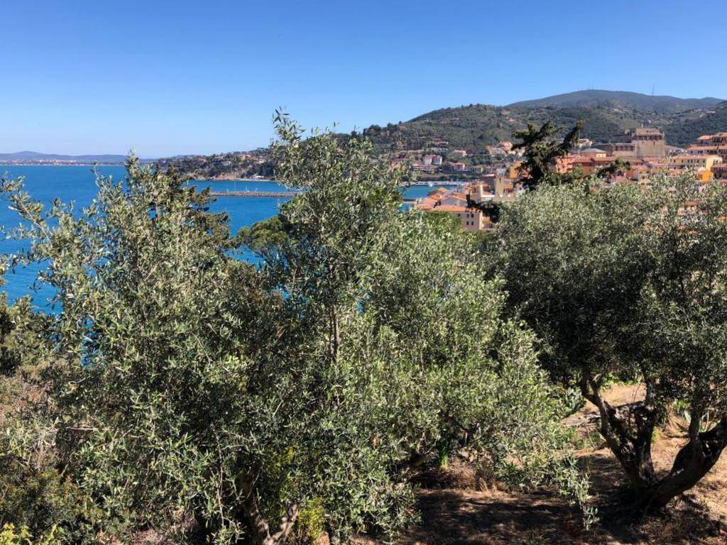 Terreno a Monte argentario in Via Aia del Dottore - Foto 4