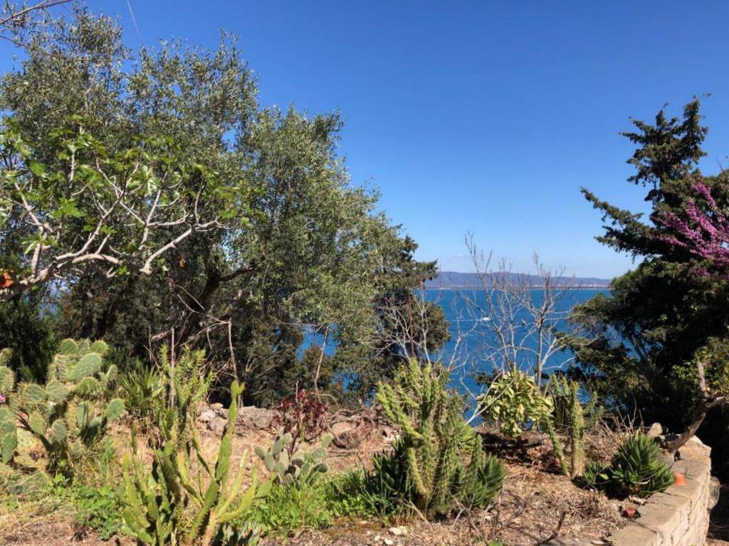 Terreno a Monte argentario in Via Aia del Dottore - Foto 5