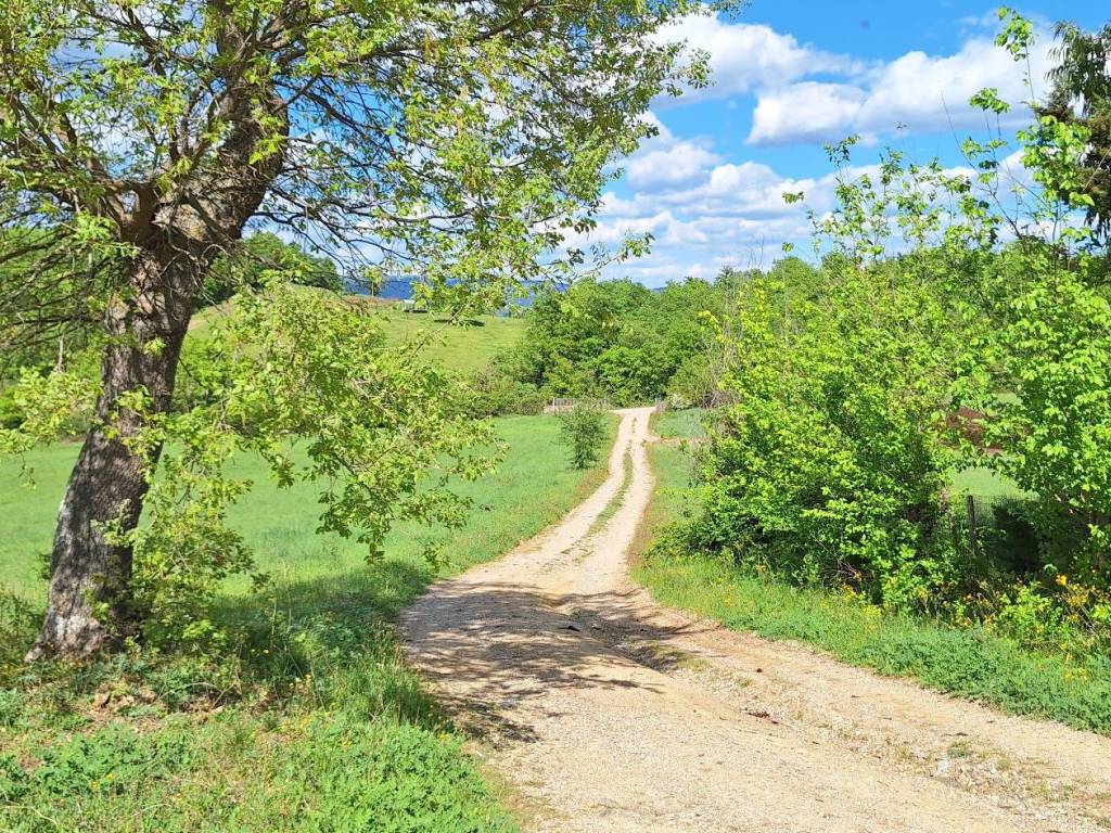 Rustico / casale a Cinigiano in Podere San Mauro - Foto 4