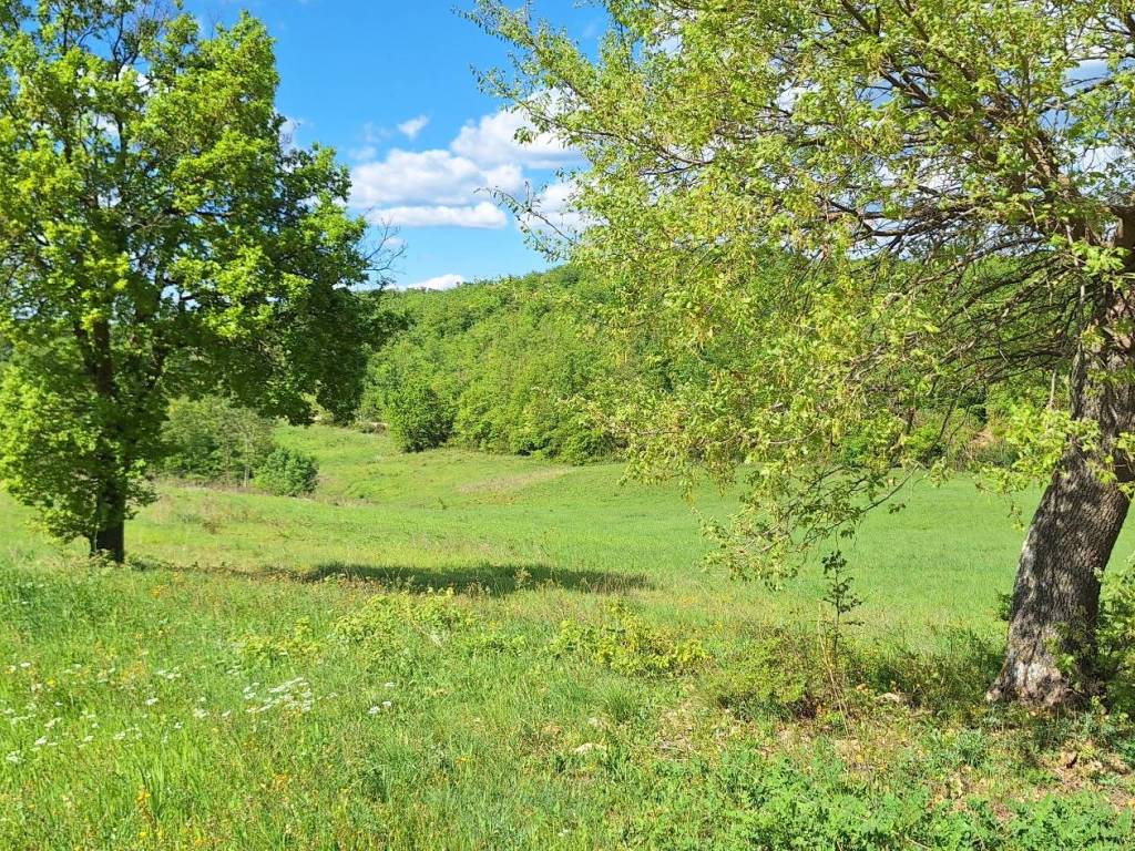 Rustico / casale a Cinigiano in Podere San Mauro - Foto 5