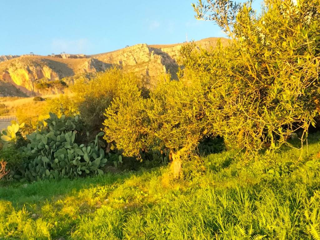 Terreno a Erice in SS187, 20 - Foto 3