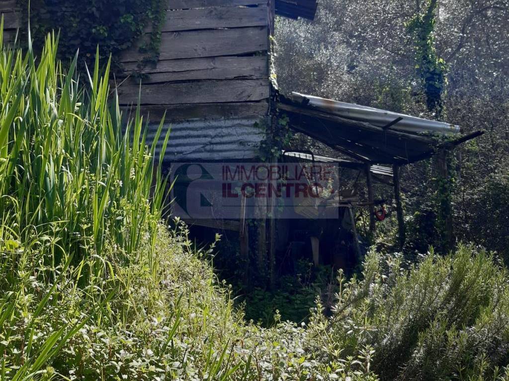 Terreno a Sarzana - Foto 3