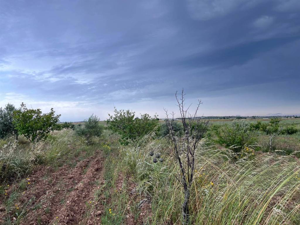 Terreno a Noto in Strada Provinciale Saline-Panze-Longarini - Foto 3